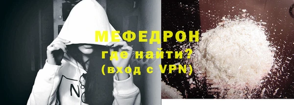 дживик Ельня