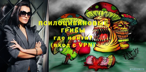 дживик Ельня