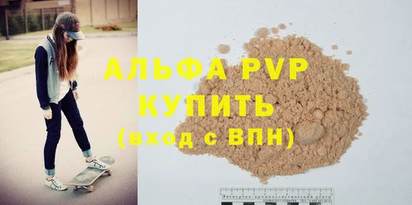дживик Ельня