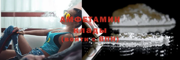дживик Ельня
