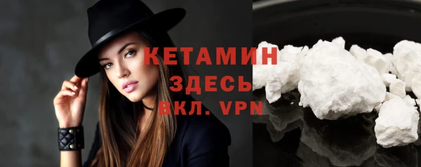 дживик Ельня