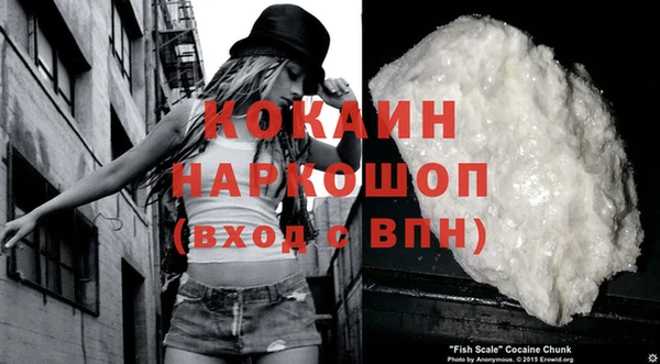 дживик Ельня
