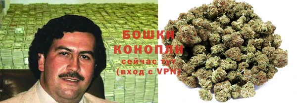 дживик Ельня