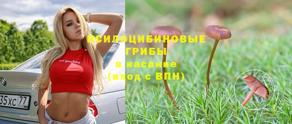 дживик Ельня