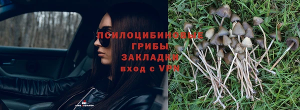 Альфа ПВП Елизово