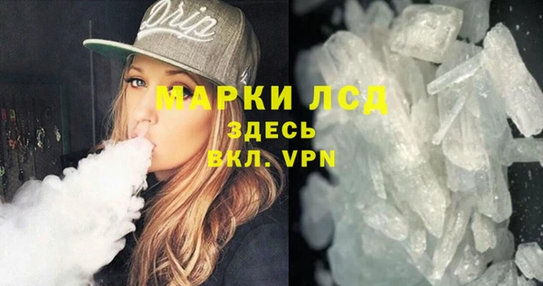 дживик Ельня