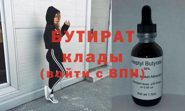дживик Ельня