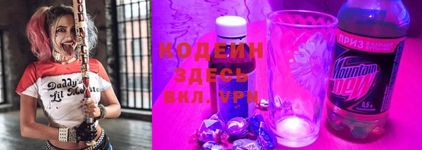 дживик Ельня