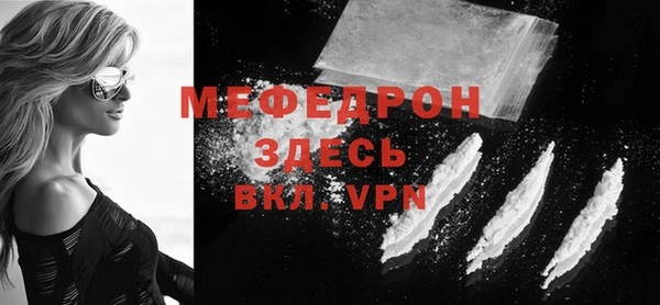 дживик Ельня