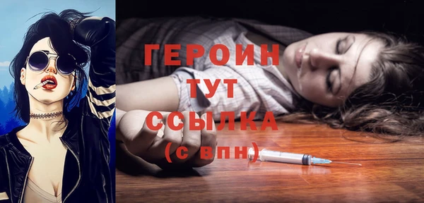 дживик Ельня