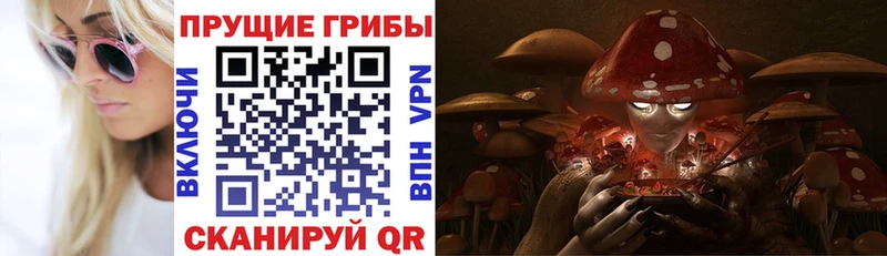 Псилоцибиновые грибы Cubensis  купить наркоту  Саяногорск 