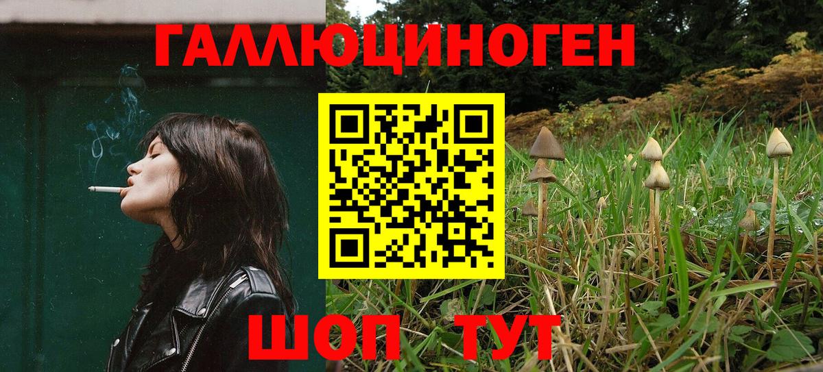 Псилоцибиновые грибы Psilocybe  Вход с VPN  Саяногорск 