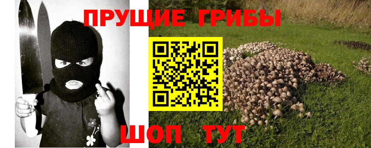 Псилоцибиновые грибы мицелий Саяногорск